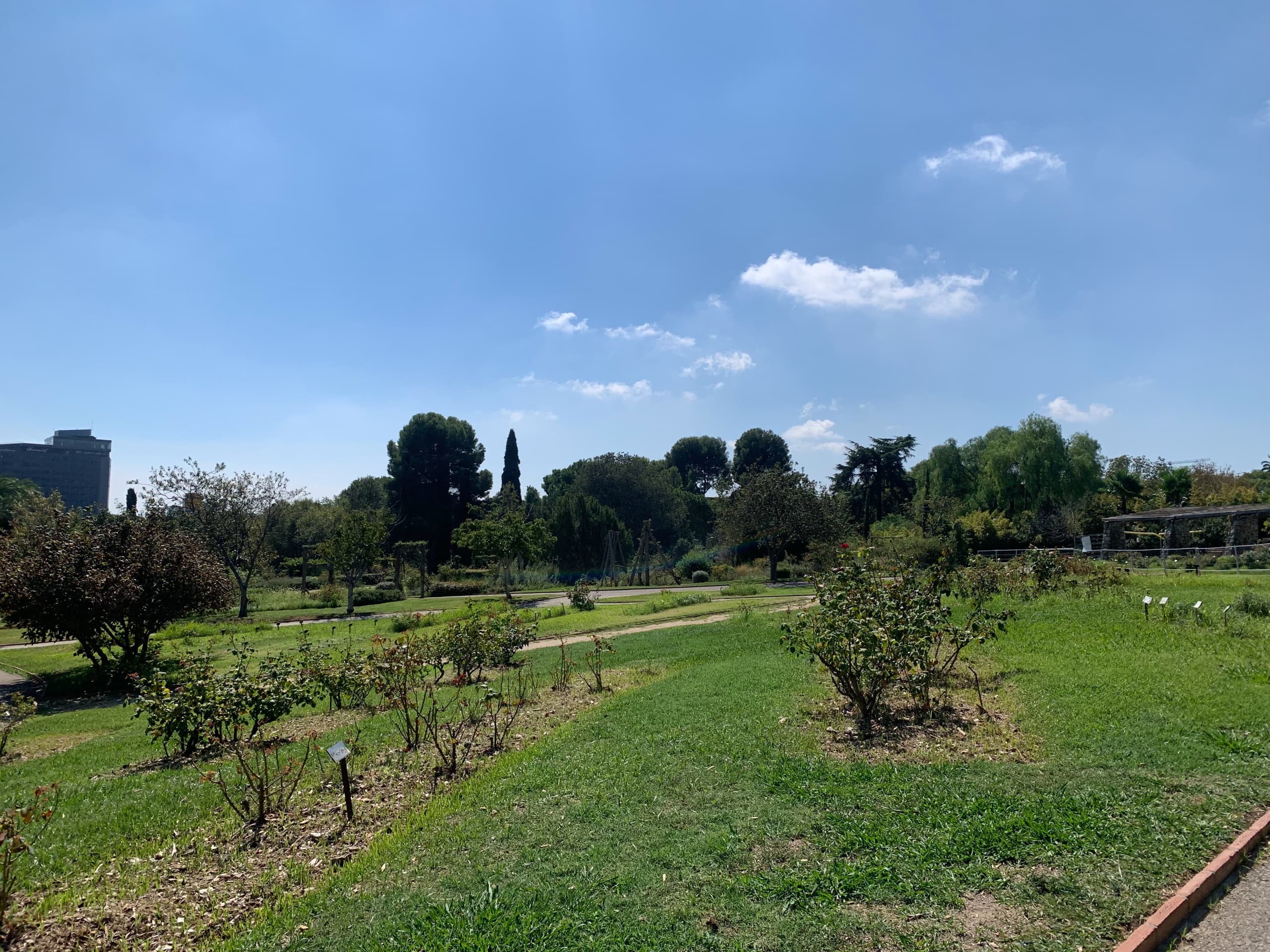 Panoramic view of Barcelona park with manicured gardens and blue sky