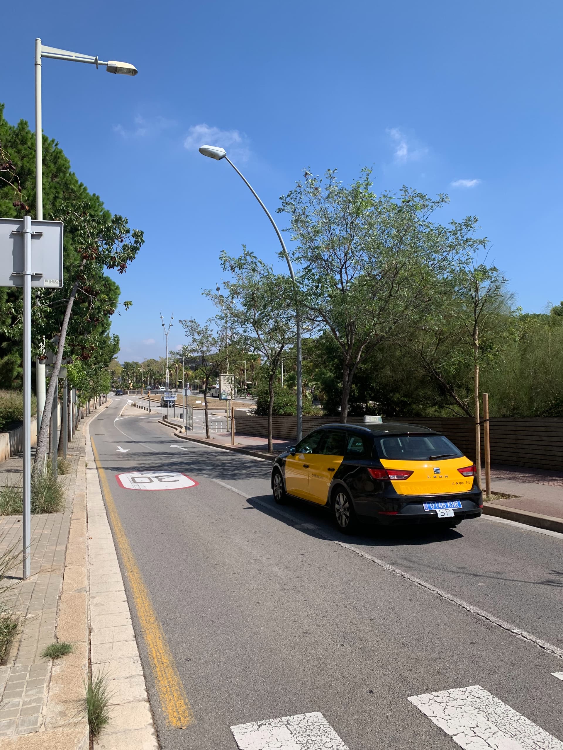 Yellow and black Barcelona taxi on tree-lined city street